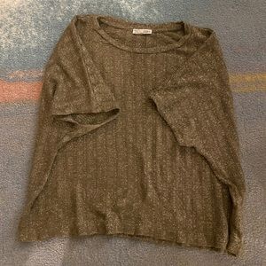 ZARA Metallic Cropped Dolman Short Sleeve Shirt